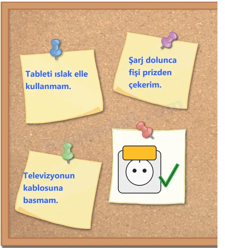 3. Sınıf Fen Bilimleri Ders Kitabı Sayfa 54 Cevapları 2. KİTAP 3. Sınıf Fen Bilimleri Ders Kitabı Sayfa 54 Cevapları 2. KİTAP