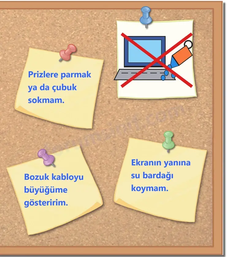 3. Sınıf Fen Bilimleri Ders Kitabı Sayfa 55 Cevapları 2. KİTAP 3. Sınıf Fen Bilimleri Ders Kitabı Sayfa 55 Cevapları 2. KİTAP
