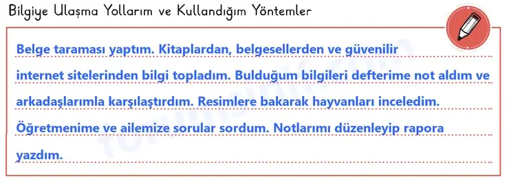 3. Sınıf Fen Bilimleri Sayfa 61 Cevapları 1. Kitap 3. Sınıf Fen Bilimleri Sayfa 61 Cevapları 1. Kitap