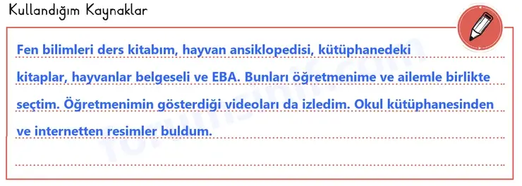 3. Sınıf Fen Bilimleri Sayfa 61 Cevapları 1. Kitap - 2 3. Sınıf Fen Bilimleri Sayfa 61 Cevapları 1. Kitap - 2