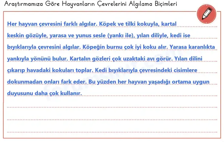 3. Sınıf Fen Bilimleri Sayfa 61 Cevapları 1. Kitap - 3 3. Sınıf Fen Bilimleri Sayfa 61 Cevapları 1. Kitap - 3