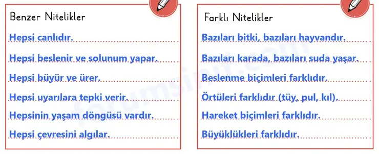 3. Sınıf Fen Bilimleri Sayfa 74 Cevapları 1. Kitap 3. Sınıf Fen Bilimleri Sayfa 74 Cevapları 1. Kitap