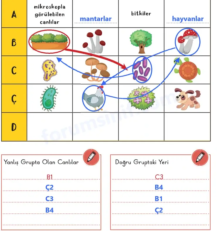3. Sınıf Fen Bilimleri Sayfa 76 Cevapları 1. Kitap 3. Sınıf Fen Bilimleri Sayfa 76 Cevapları 1. Kitap