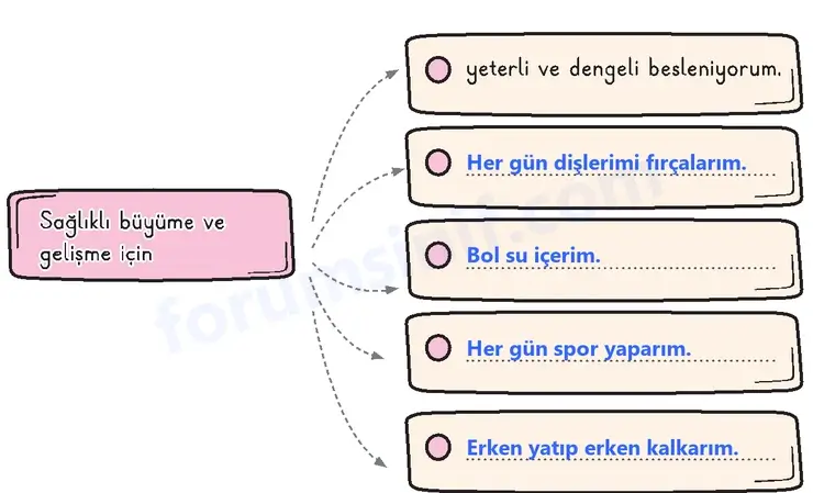3. Sınıf Hayat Bilgisi Sayfa 46 Cevapları 1. Kitap 3. Sınıf Hayat Bilgisi Sayfa 46 Cevapları 1. Kitap