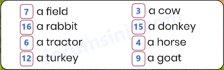 3. Sınıf İngilizce Ders Kitabı Sayfa 100 Cevapları MEB Yayınları - 1 3. Sınıf İngilizce Ders Kitabı Sayfa 100 Cevapları MEB Yayınları - 1