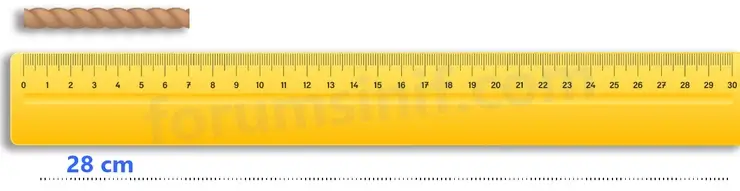 3. Sınıf Matematik Sayfa 131 Cevapları 1. Kitap - 4 3. Sınıf Matematik Sayfa 131 Cevapları 1. Kitap - 4