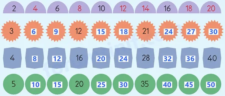 3. Sınıf Matematik Sayfa 40 Cevapları 1. Kitap 3. Sınıf Matematik Sayfa 40 Cevapları 1. Kitap