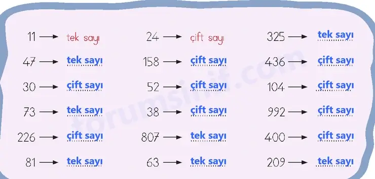 3. Sınıf Matematik Sayfa 61 Cevapları 1. Kitap