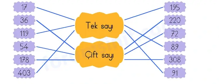 3. Sınıf Matematik Sayfa 62 Cevapları 1. Kitap