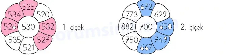 3. Sınıf Matematik Sayfa 81 Cevapları 1. Kitap - 2
