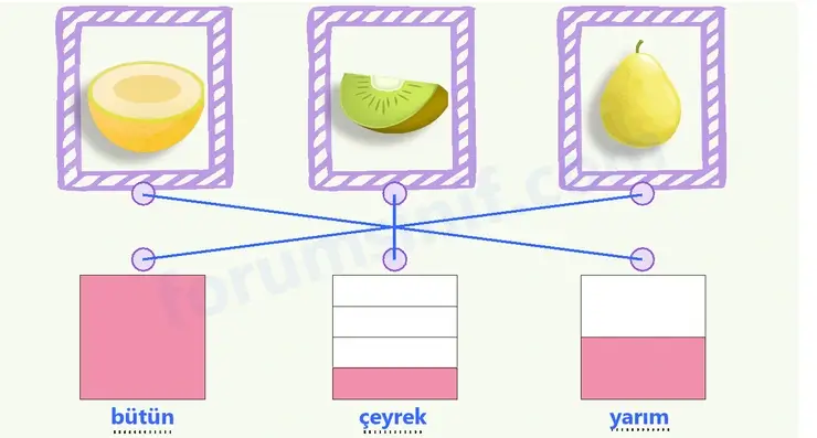 3. Sınıf Matematik Sayfa 87 Cevapları 1. Kitap 3. Sınıf Matematik Sayfa 87 Cevapları 1. Kitap