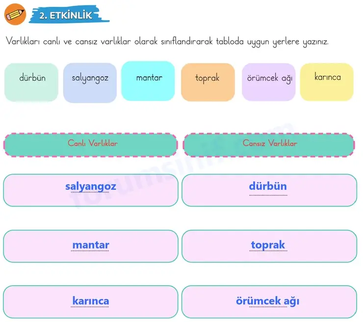 3. Sınıf Türkçe Sayfa 103 Cevapları 1. Kitap