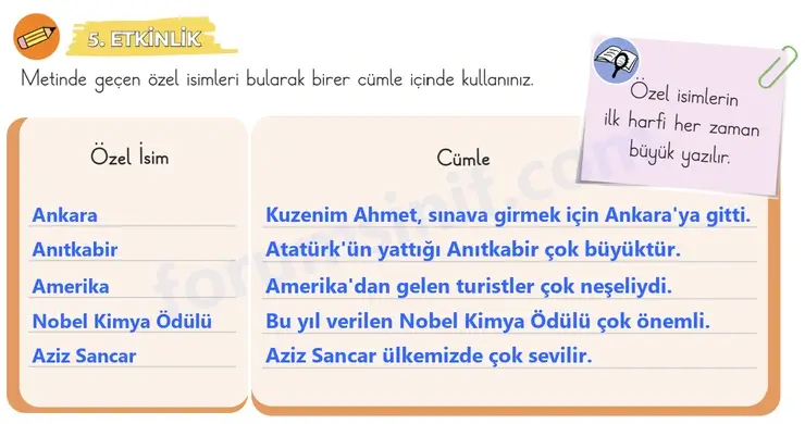 3. Sınıf Türkçe Sayfa 31 Cevapları 1. Kitap