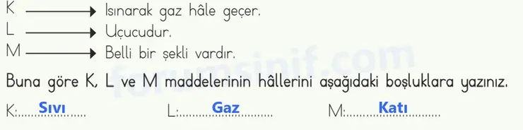 4. Sınıf Fen Bilimleri Ders Kitabı Sayfa 135 Cevapları MEB Yayınları