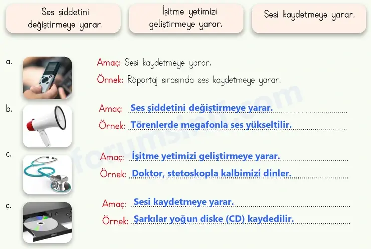 4. Sınıf Fen Bilimleri Ders Kitabı Sayfa 164 Cevapları MEB Yayınları