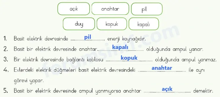 4. Sınıf Fen Bilimleri Ders Kitabı Sayfa 206 Cevapları MEB Yayınları - 2 4. Sınıf Fen Bilimleri Ders Kitabı Sayfa 206 Cevapları MEB Yayınları - 2