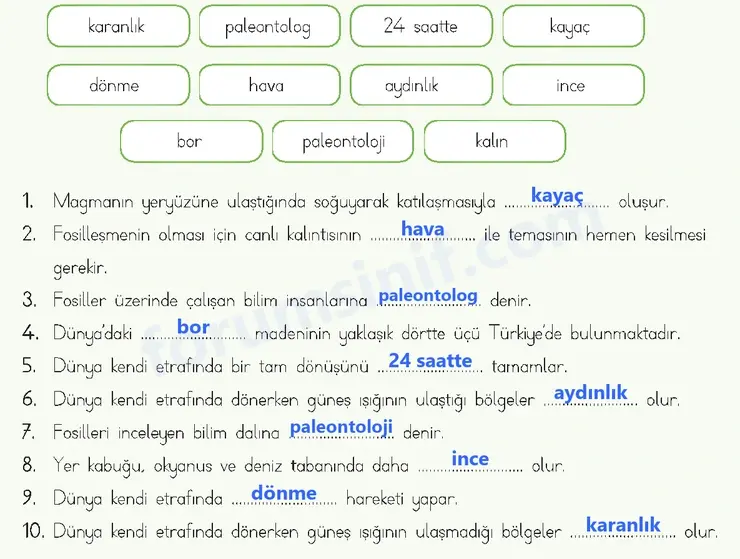 4. Sınıf Fen Bilimleri Ders Kitabı Sayfa 39 Cevapları MEB Yayınları