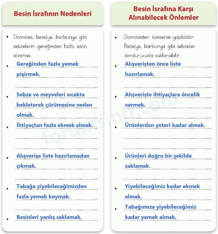 4. Sınıf Fen Bilimleri Ders Kitabı Sayfa 62 Cevapları MEB Yayınları
