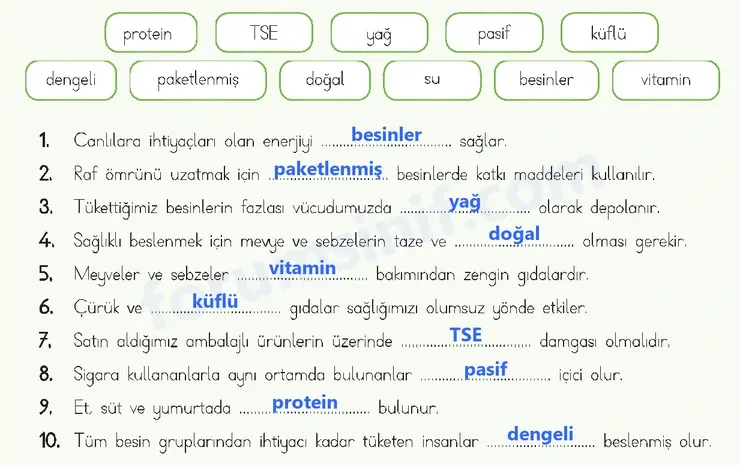 4. Sınıf Fen Bilimleri Ders Kitabı Sayfa 69 Cevapları MEB Yayınları 4. Sınıf Fen Bilimleri Ders Kitabı Sayfa 69 Cevapları MEB Yayınları