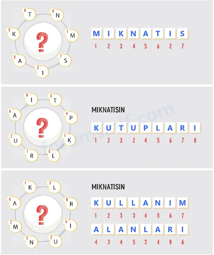 4. Sınıf Fen Bilimleri Sayfa 102 Cevapları Adım Adım