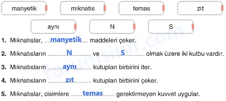 4. Sınıf Fen Bilimleri Sayfa 111 Cevapları Adım Adım