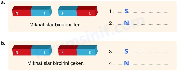 4. Sınıf Fen Bilimleri Sayfa 111 Cevapları Adım Adım - 2