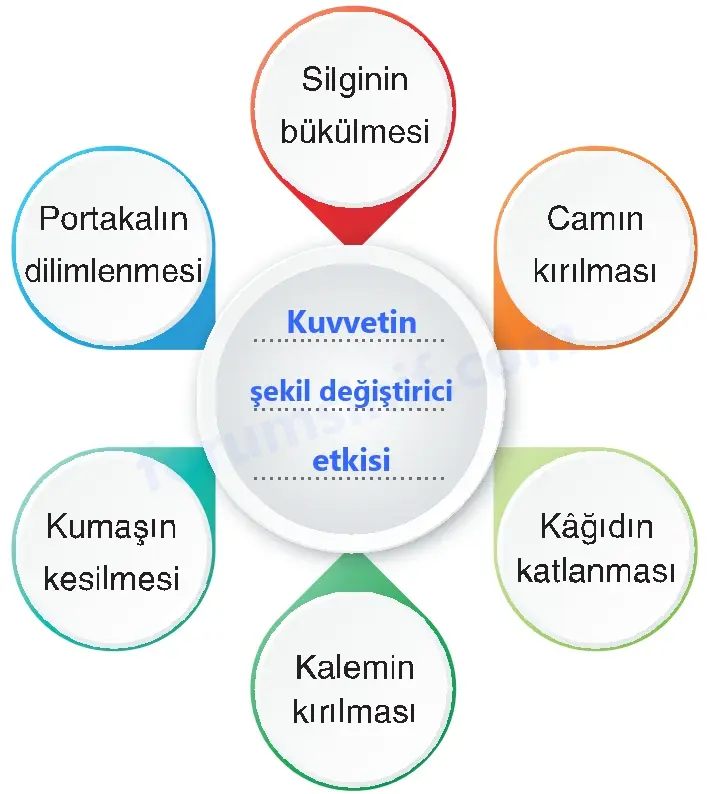 4. Sınıf Fen Bilimleri Sayfa 114 Cevapları Adım Adım 4. Sınıf Fen Bilimleri Sayfa 114 Cevapları Adım Adım