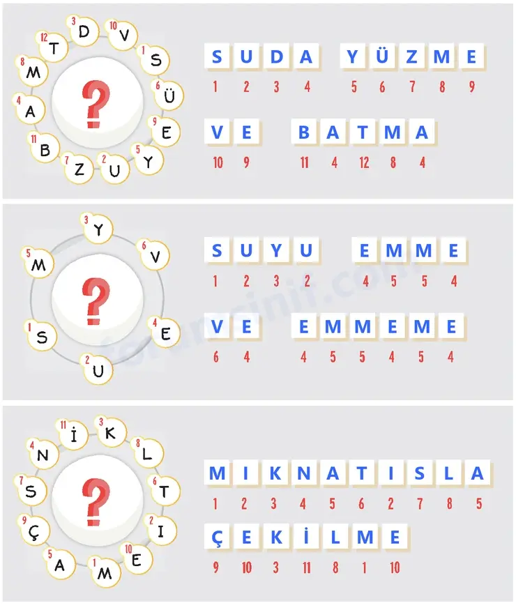 4. Sınıf Fen Bilimleri Sayfa 120 Cevapları Adım Adım