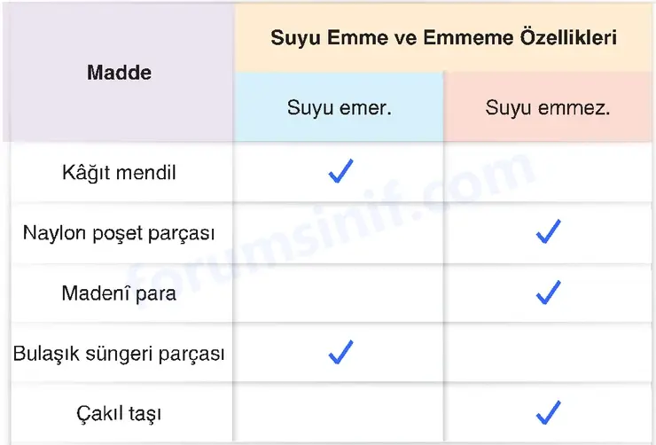 4. Sınıf Fen Bilimleri Sayfa 126 Cevapları Adım Adım