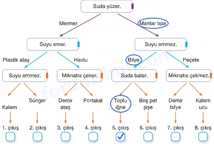 4. Sınıf Fen Bilimleri Sayfa 127 Cevapları Adım Adım - 2