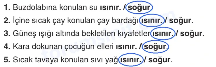 4. Sınıf Fen Bilimleri Sayfa 158 Cevapları Adım Adım 4. Sınıf Fen Bilimleri Sayfa 158 Cevapları Adım Adım