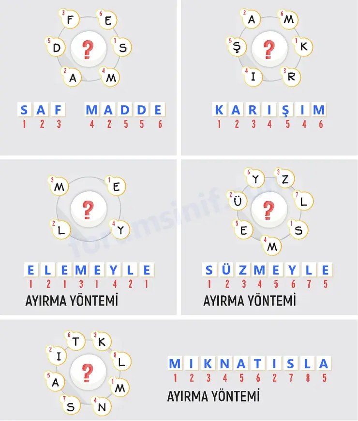 4. Sınıf Fen Bilimleri Sayfa 159 Cevapları Adım Adım