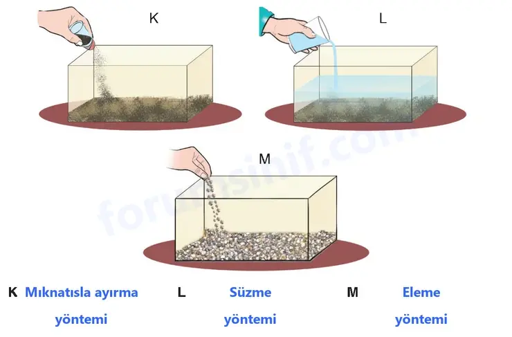 4. Sınıf Fen Bilimleri Sayfa 170 Cevapları Adım Adım