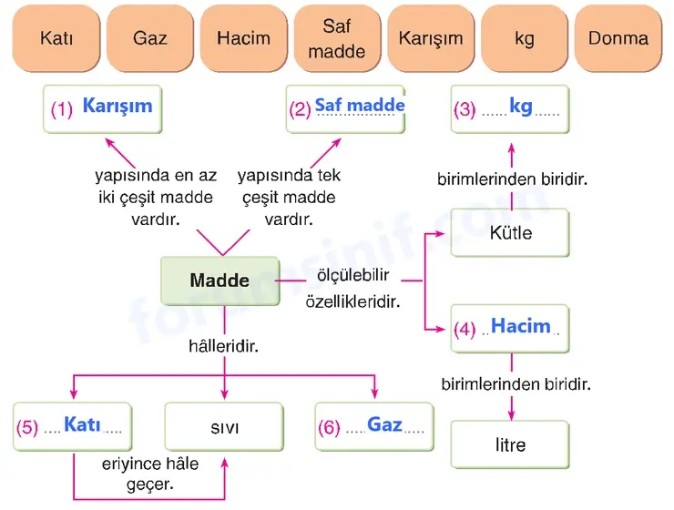 4. Sınıf Fen Bilimleri Sayfa 175 Cevapları Adım Adım 4. Sınıf Fen Bilimleri Sayfa 175 Cevapları Adım Adım