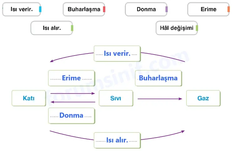 4. Sınıf Fen Bilimleri Sayfa 177 Cevapları Adım Adım 4. Sınıf Fen Bilimleri Sayfa 177 Cevapları Adım Adım