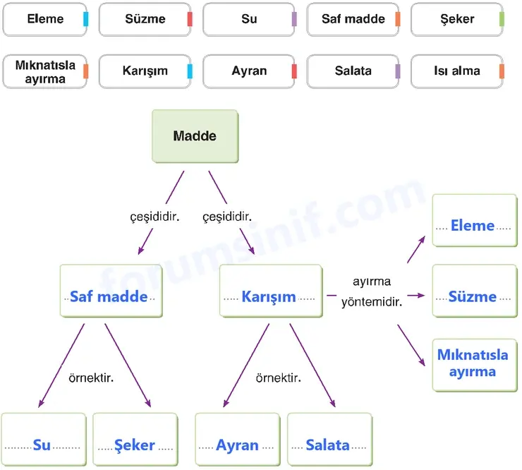 4. Sınıf Fen Bilimleri Sayfa 178 Cevapları Adım Adım 4. Sınıf Fen Bilimleri Sayfa 178 Cevapları Adım Adım