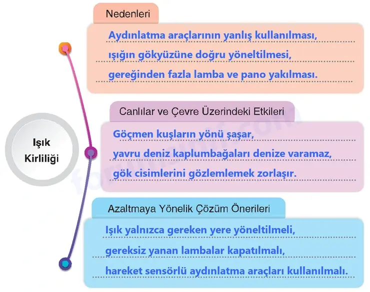 4. Sınıf Fen Bilimleri Sayfa 208 Cevapları Adım Adım 4. Sınıf Fen Bilimleri Sayfa 208 Cevapları Adım Adım