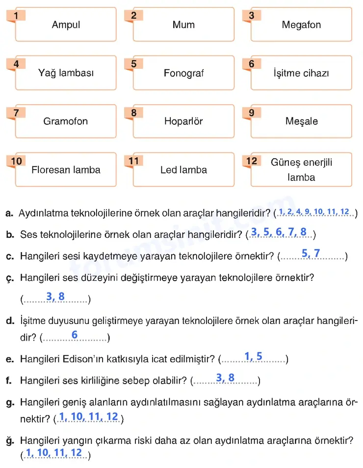 4. Sınıf Fen Bilimleri Sayfa 226 Cevapları Adım Adım