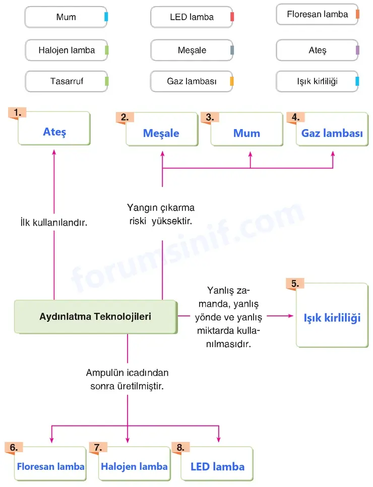 4. Sınıf Fen Bilimleri Sayfa 228 Cevapları Adım Adım