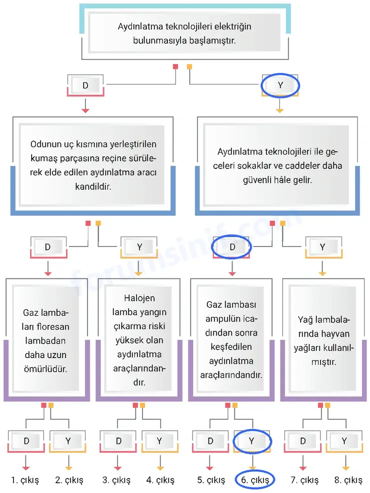 4. Sınıf Fen Bilimleri Sayfa 229 Cevapları Adım Adım