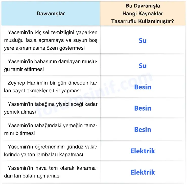 4. Sınıf Fen Bilimleri Sayfa 237 Cevapları Adım Adım
