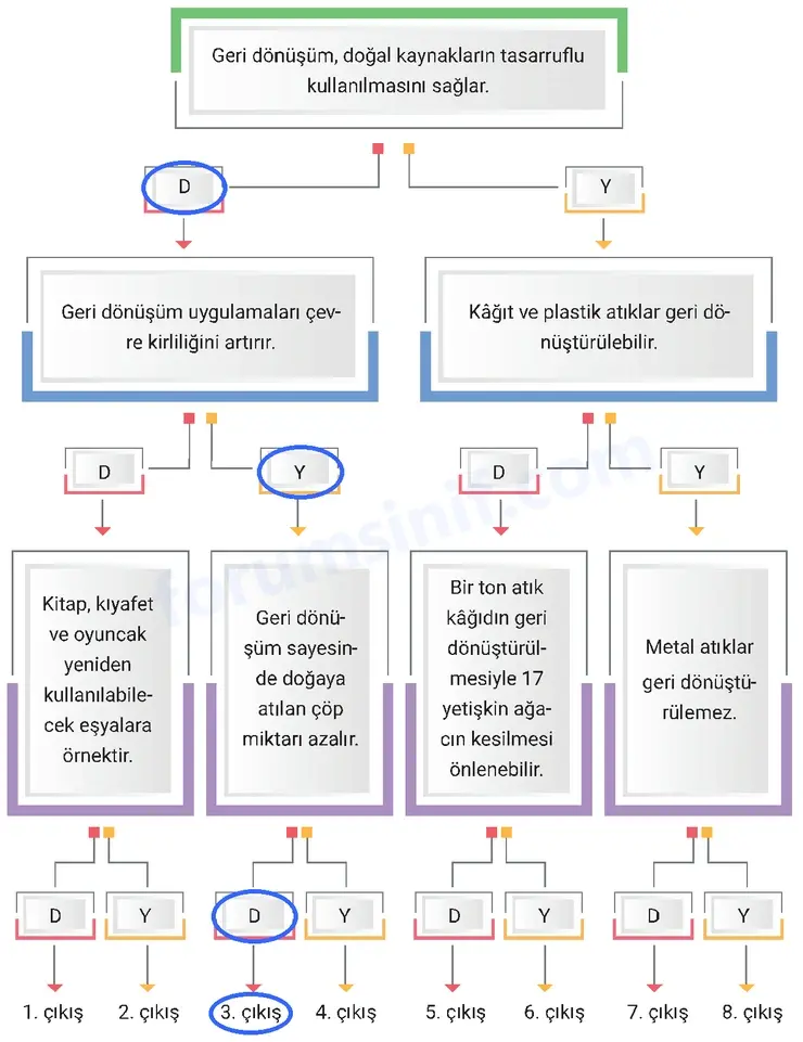 4. Sınıf Fen Bilimleri Sayfa 250 Cevapları Adım Adım
