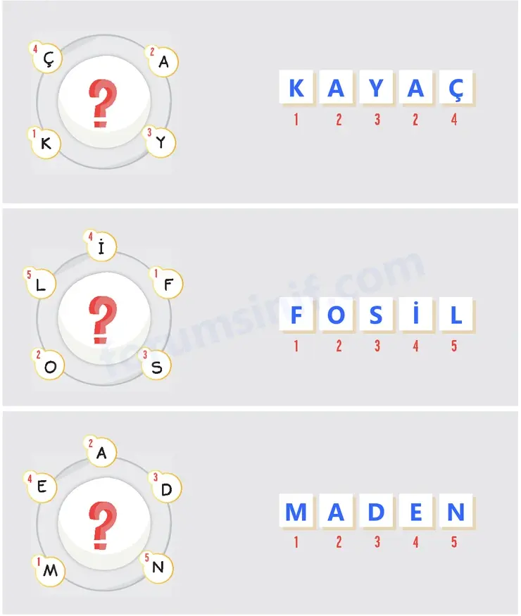 4. Sınıf Fen Bilimleri Sayfa 26 Cevapları Adım Adım