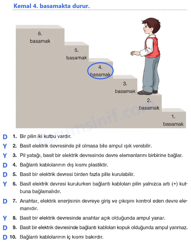 4. Sınıf Fen Bilimleri Sayfa 262 Cevapları Adım Adım