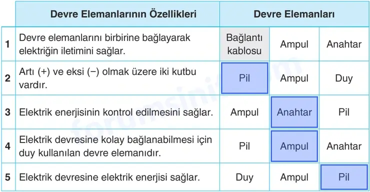 4. Sınıf Fen Bilimleri Sayfa 263 Cevapları Adım Adım