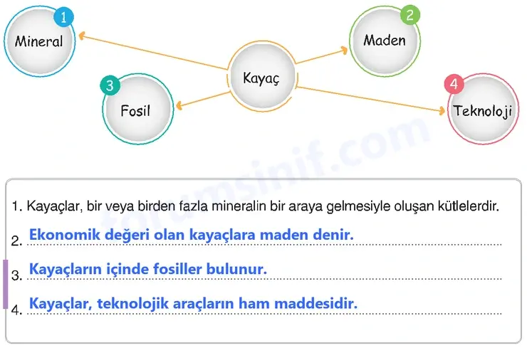 4. Sınıf Fen Bilimleri Sayfa 41 Cevapları Adım Adım 4. Sınıf Fen Bilimleri Sayfa 41 Cevapları Adım Adım