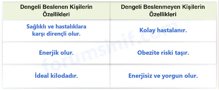4. Sınıf Fen Bilimleri Sayfa 73 Cevapları Adım Adım 4. Sınıf Fen Bilimleri Sayfa 73 Cevapları Adım Adım