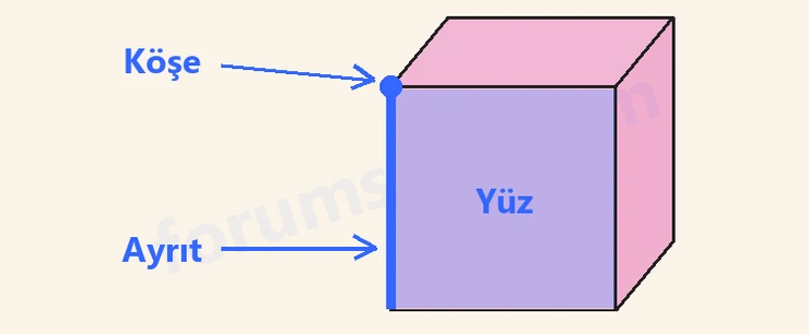 4. Sınıf Matematik Ders Kitabı Sayfa 194 Cevapları Beşgen Yayıncılık - 2