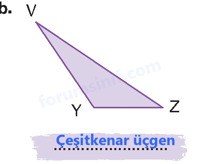 4. Sınıf Matematik Ders Kitabı Sayfa 201 Cevapları Beşgen Yayıncılık - 5