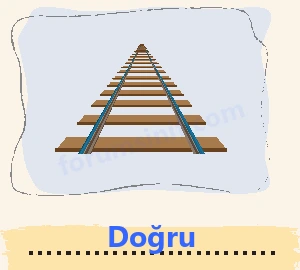 4. Sınıf Matematik Ders Kitabı Sayfa 209 Cevapları Beşgen Yayıncılık - 2